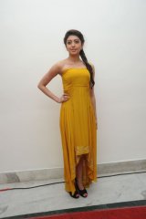 Pranitha at Alludu Seenu Audio Launch